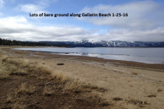 Lots-of-bare-ground-along-Gallatin-Beach-1-25-16
