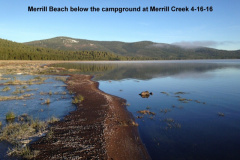 Merrill-Beach-4-16-16