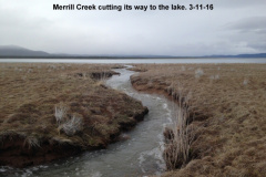 Merrill-Creek-cuting-its-way-to-the-lake-3-11-16