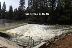 Pine-Creek-3-15-16