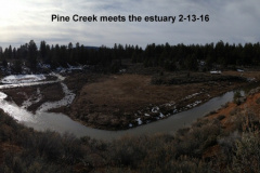 Pine-Creek-meets-the-estuary-2-13-16
