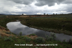 Pine-Creek-slough-4-12-16