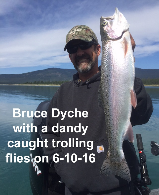 Bruce-Dyche-6-10-16