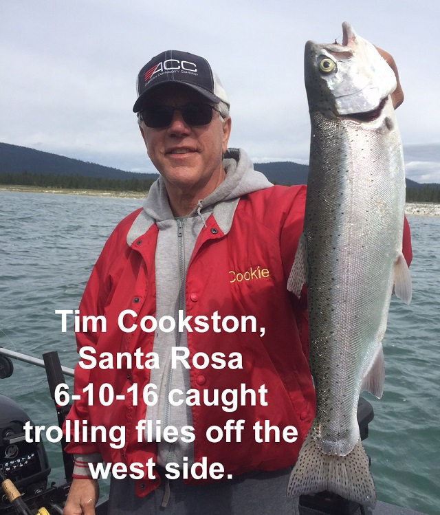 Tim-Cookston-6-10-16