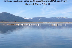 Exposed-rock-piles-north-of-Pelican-Pt-5-10-17