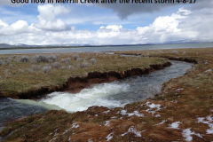 Good-flow-in-Merrill-Creek-after-the-recent-storm-4-8-17