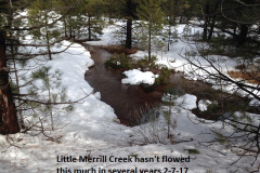 Little-Merrill-Creek-hasn_t-flowed-this-well-in-years-2-7-17