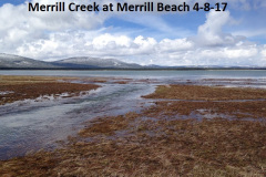 Merrill-Creek-at-Merrill-Beach-4-8-17