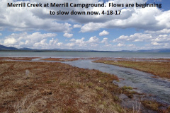 Merrill-Creek-at-Merrill-Campground-4-18-17