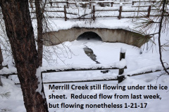 Merrill-Creek-continues-1-21-17
