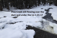 Pine-Creek-1-21-17
