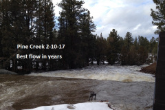 Pine-Creek-2-10-17