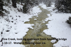 Pine-Creek-looking-upstream-from-Spalding-Rd-Bridge-1-10-17