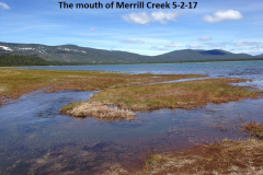 The-mouth-of-Merrill-Creek-5-2-17