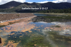 Gallatin-Harbor-2-5-15-17