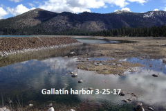 Gallatin-Harbor-3-25-17