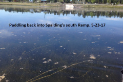 Paddling-back-into-Spalding_s-south-ramp-5-23-17