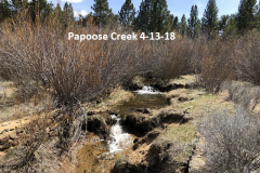 4-13-18 Papoose Creek above the lake
