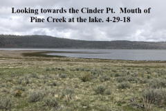 4-29-18 Mouth of Pine Creek at the lake