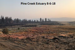 8-6-18 Pine Creek Estuary^