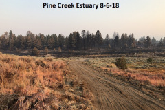 8-6-18 Pine Creek Estuary
