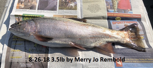 8-26-18 3.5lb by Merry Jo Rembold