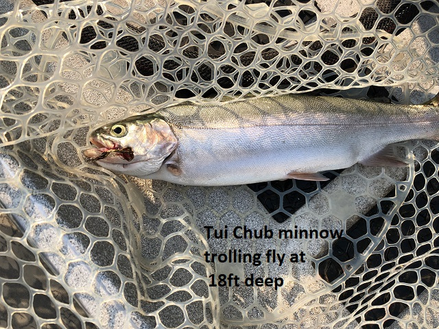 8-9-18-trout-2-by-Val