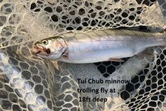 8-9-18-trout-2-by-Val