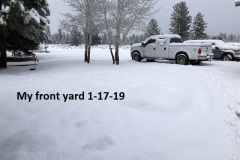 1-17-19 my front yard after the first snowfall of 4 inches