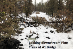 1_1-20-19-looking-downstream-Pine-Creek-at-A1-Bridge