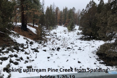 1_1-20-19-looking-upstream-Pine-Creek-from-Spalding-bridge