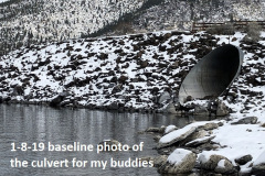 1_1-8-19-baseline-photo-of-the-culvert