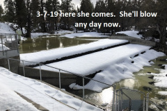 1_3-7-19-here-she-comes