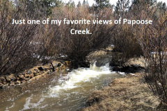 3-27-19-just-one-of-my-favorite-views-of-Papoose-Creek