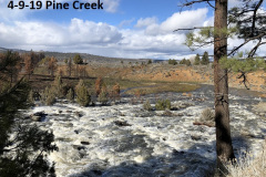 4-9-19-Pine-Creek