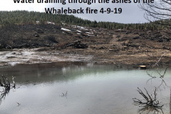 4-9-19-Snowmelt-draining-thru-the-ashes-left-from-Whaleback-fire