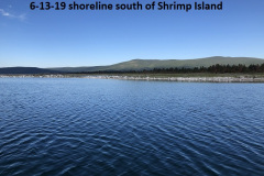 6-13-19-shoreline-south-of-Shrimp-Island-Lake-of-the-Woods