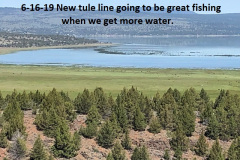 6-16-19-north-basin-new-tule-line-going-to-be-great-fishing-one-day