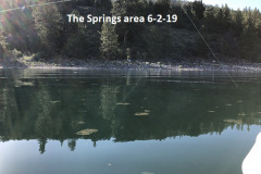 6-2-19-The-Springs-area