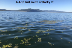 6-4-19-just-south-of-Rocky-Pt