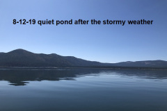 8-12-19-quiet-pond-after-the-stormy-weather