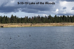 9-10-19-Lake-of-the-Woods