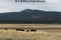 9-7-19-Pine-Creek-Estuary