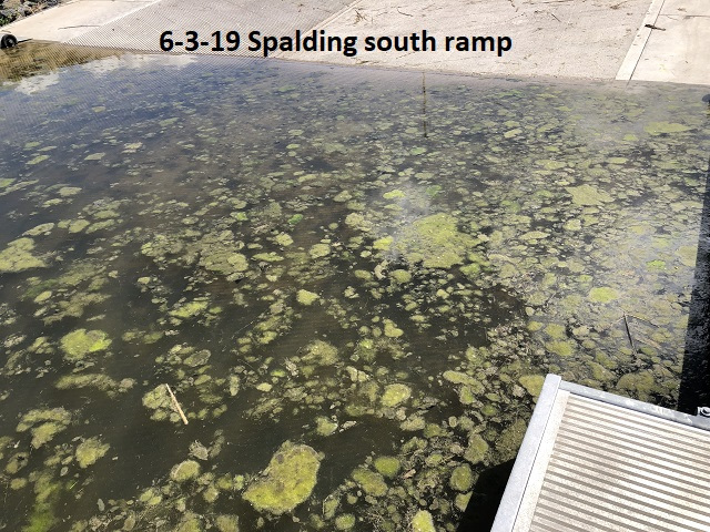 6-3-19-Spalding-south-ramp