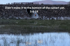 5-6-19-Wont-be-floating-through-the-culvert