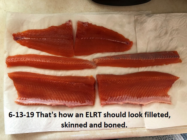 6-13-19-filleted-skinned-and-100-boneless-ELTR