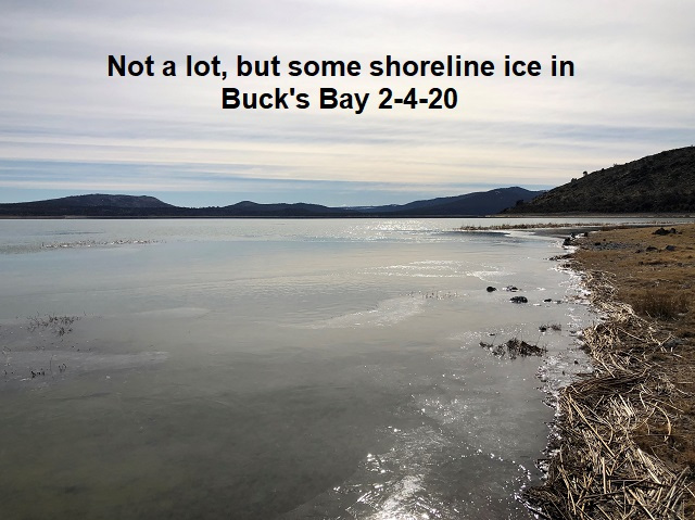 2-4-20-Some-shore-ice