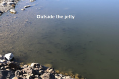 1-31-20-outside-the-jetty