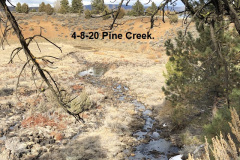 4-8-20-Pine-Creek-^
