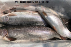 6-18-20-Val-Bud-and-Don